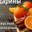 Мандарины, такие вкусные, такие полезные - ТАВДИНКА.РФ
