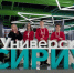 Ученицы МКОУ СОШ № 9 – участники юбилейной X Уральской проектной смены в Сириусе! - ТАВДИНКА.РФ