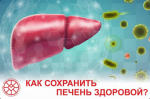 Как сохранить печень здоровой?