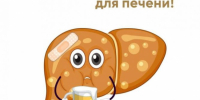 Алкоголь – главный враг для печени! - ТАВДИНКА.РФ