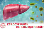 Как сохранить печень здоровой?