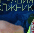 Госавтоинспекция ищет должников - ТАВДИНКА.РФ