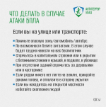 Что делать если вы увидели в небе беспилотник?