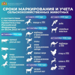 О маркировке и учете сельскохозяйственных животных